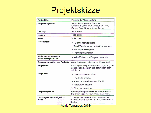Projektskizze/-plan 2