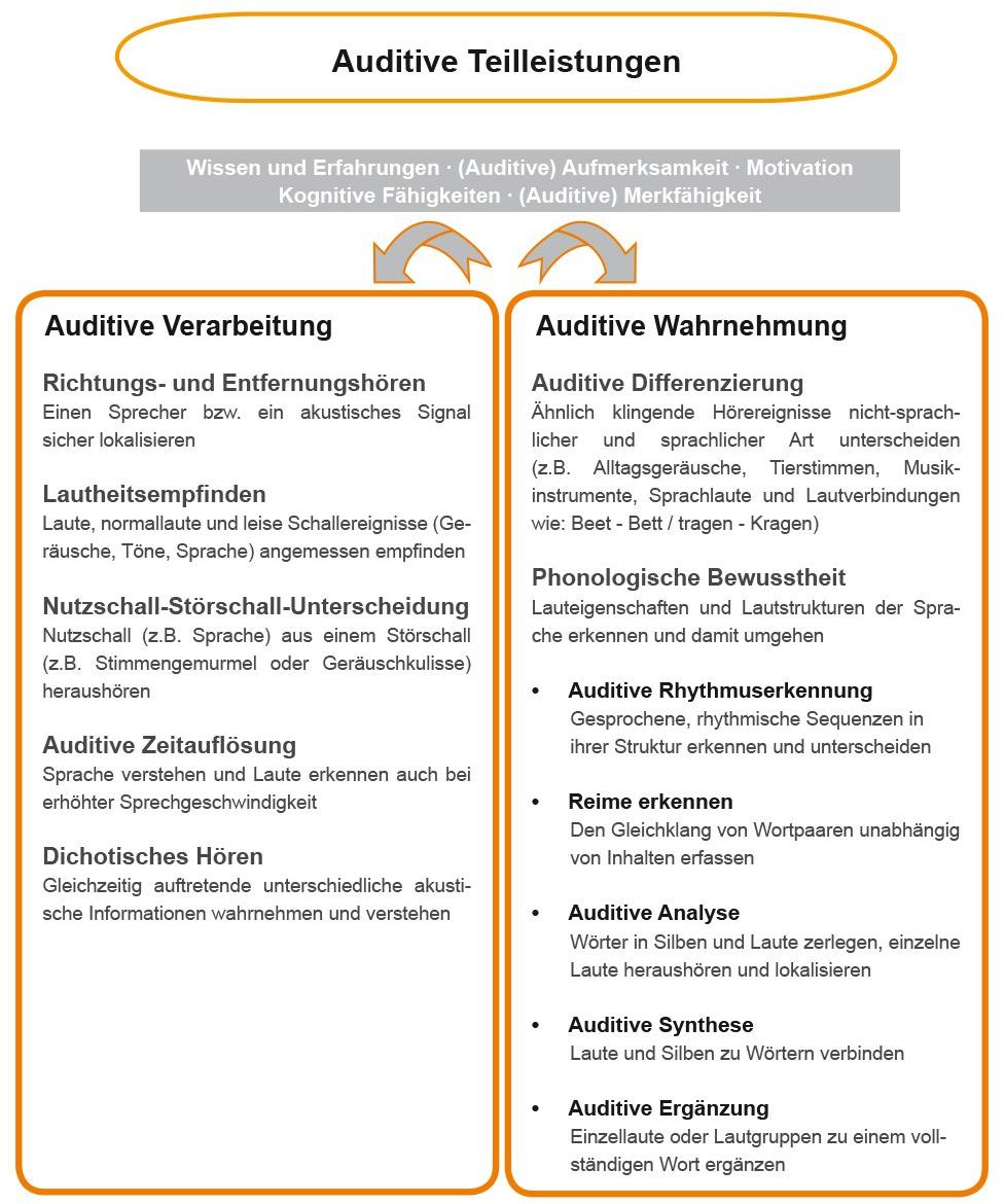 Grafik: Auditive Teilleistungen