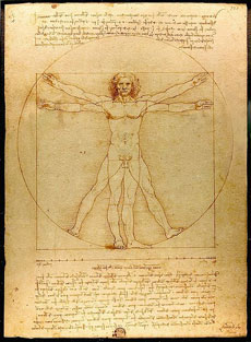 Da Vinci der vitruvianische Mensch