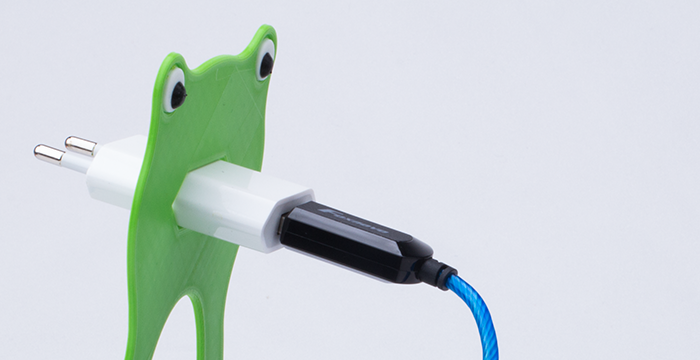 Netzteil im Gesicht des Frosches