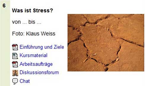 Was ist Streß?