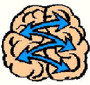 Gehirn