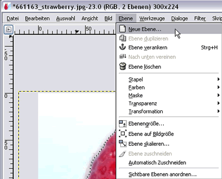 Auswahl Als Ebene Einfugen