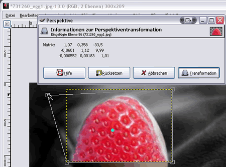 Perspektive anwenden