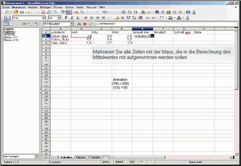 Zellen für Mittelwertberechnung markieren