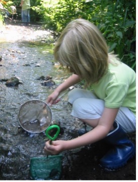 Schülerin entdeckt Tiere und Pflanzen am und im Wasser