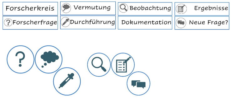 Wort Karten: Forscher Kreis, Vermutung, Beobachtung, Ergebnis, Forscherfrage,  Durchführung, Dokumentation, Neue Frage?
