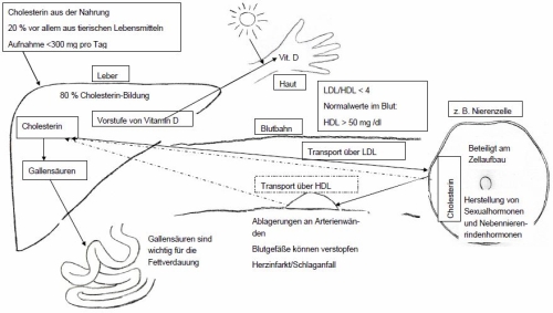 Strukturbild Lösung