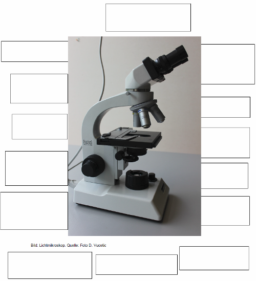 Mikroskop