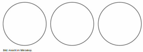 Ansicht im Mikroskop