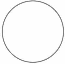 Ansicht im Mikroskop