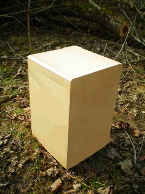 Cajon-Rückseite