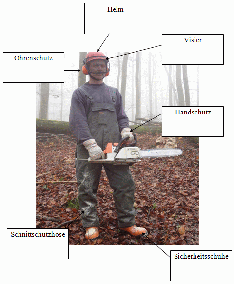 Waldarbeiter mit Schutzausrüstung