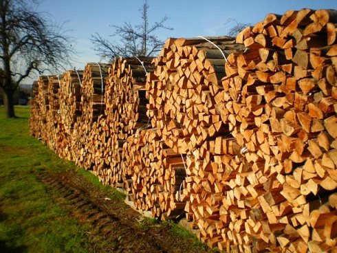 Holzstapel
