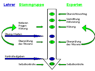 Stamm- und Expertengruppe