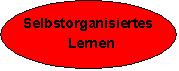 Selbstorganisiertes Lernen