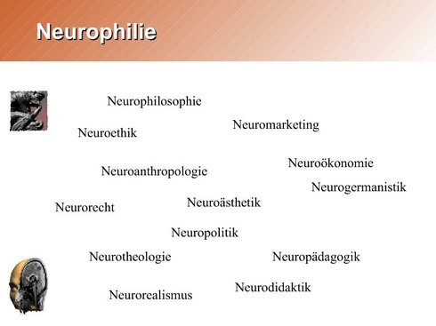 neurophilie