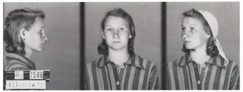 Zofia Posmysz zum Zeitpunkt ihrer Registrierung im KZ Auschwitz im Jahr 1942. Das Bild zeigt drei Ansichten: Profilansicht von links, Frontalansicht und Profilansicht von rechts. Zofia trägt eine gestreifte Häftlingsuniform und ein Kopftuch.