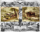 Centennial Mirror, 1776 – 1876