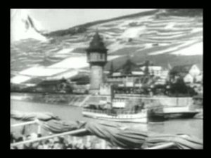 Rhein mit Weinbergen