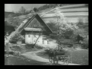 Schwarzwälder Bauernhoh mit Pferdekutsche