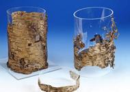 Die Birkenrindengefäße