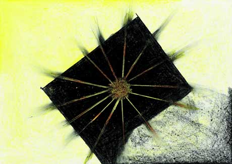 Wettbewerb der Diözese Rottenburg-Stuttgart zum Thema „Mein Gottesbild“ (2003) –