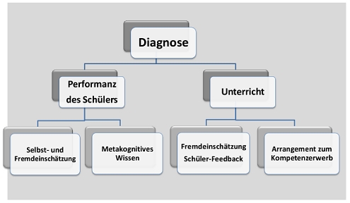Bild: Diagnose_Organigramm