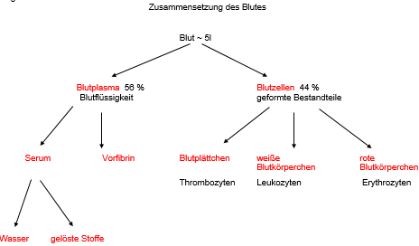 Zusammensetzung Blut Lösung