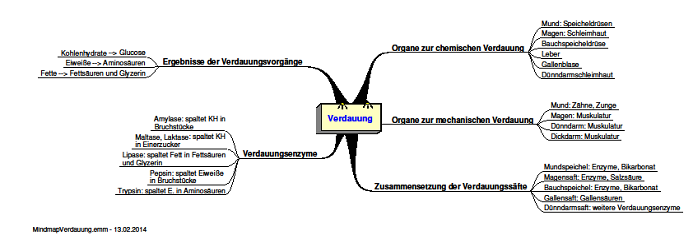 mindmap