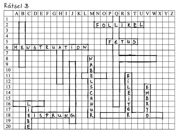 Lernkontrolle „Rätseltandem“