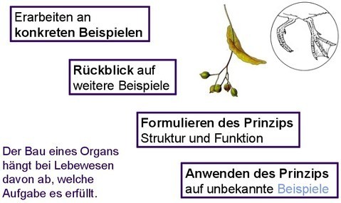 Prinzipien im Unterricht
