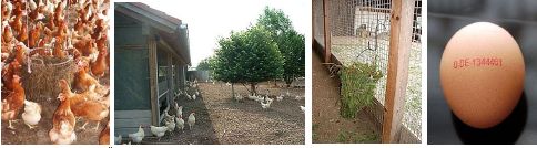 Ökologische Haltung