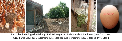 Ökologische Haltung