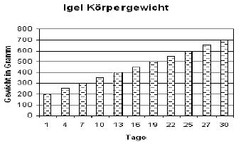 Igel