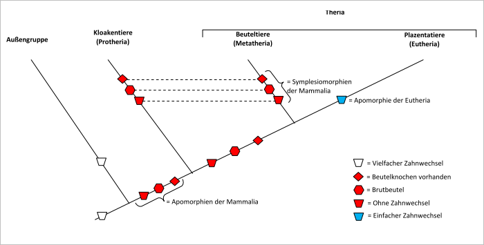 Theria Interpretation