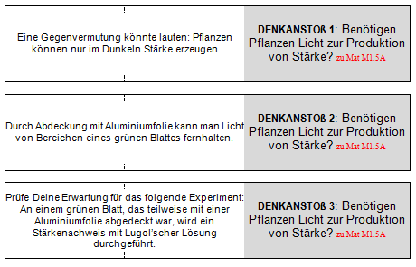 Denkanstoß