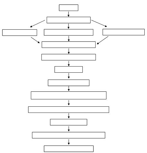 Pfeildiagramm_leer