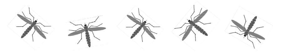 Mosquito Abbildungen