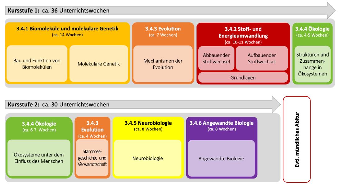 Bild einer zeitlichen Reihung der Unterrichtsinhalte