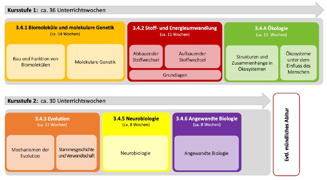 Bild einer zeitlichen Reihung der Unterrichtsinhalte