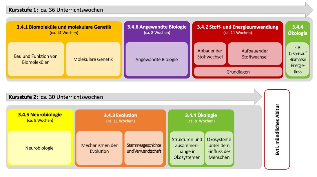 Bild einer zeitlichen Reihung der Unterrichtsinhalte