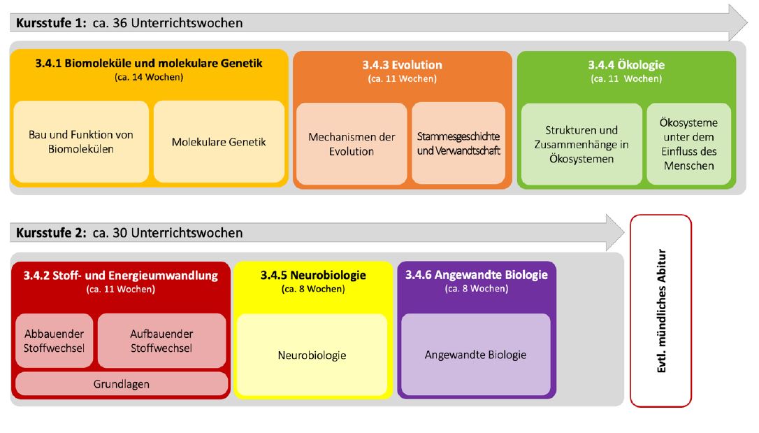 Bild einer zeitlichen Reihung der Unterrichtsinhalte