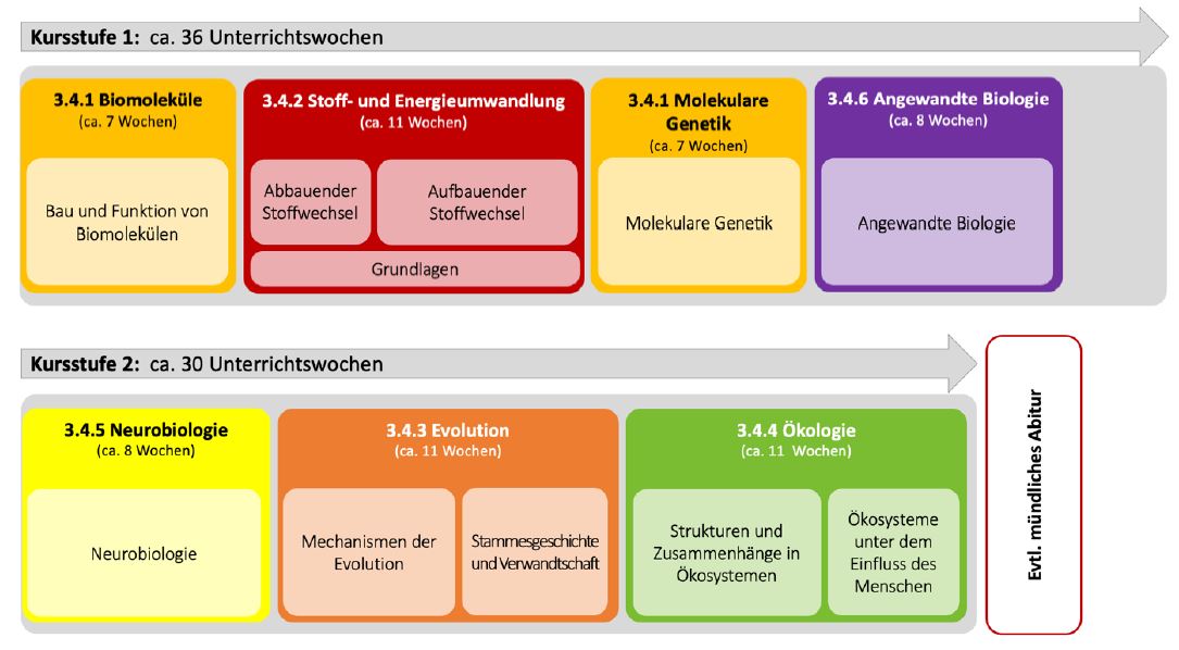 Bild einer zeitlichen Reihung der Unterrichtsinhalte