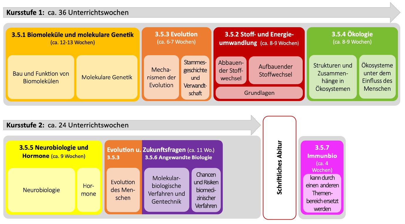 Bild einer zeitlichen Reihung der Unterrichtsinhalte