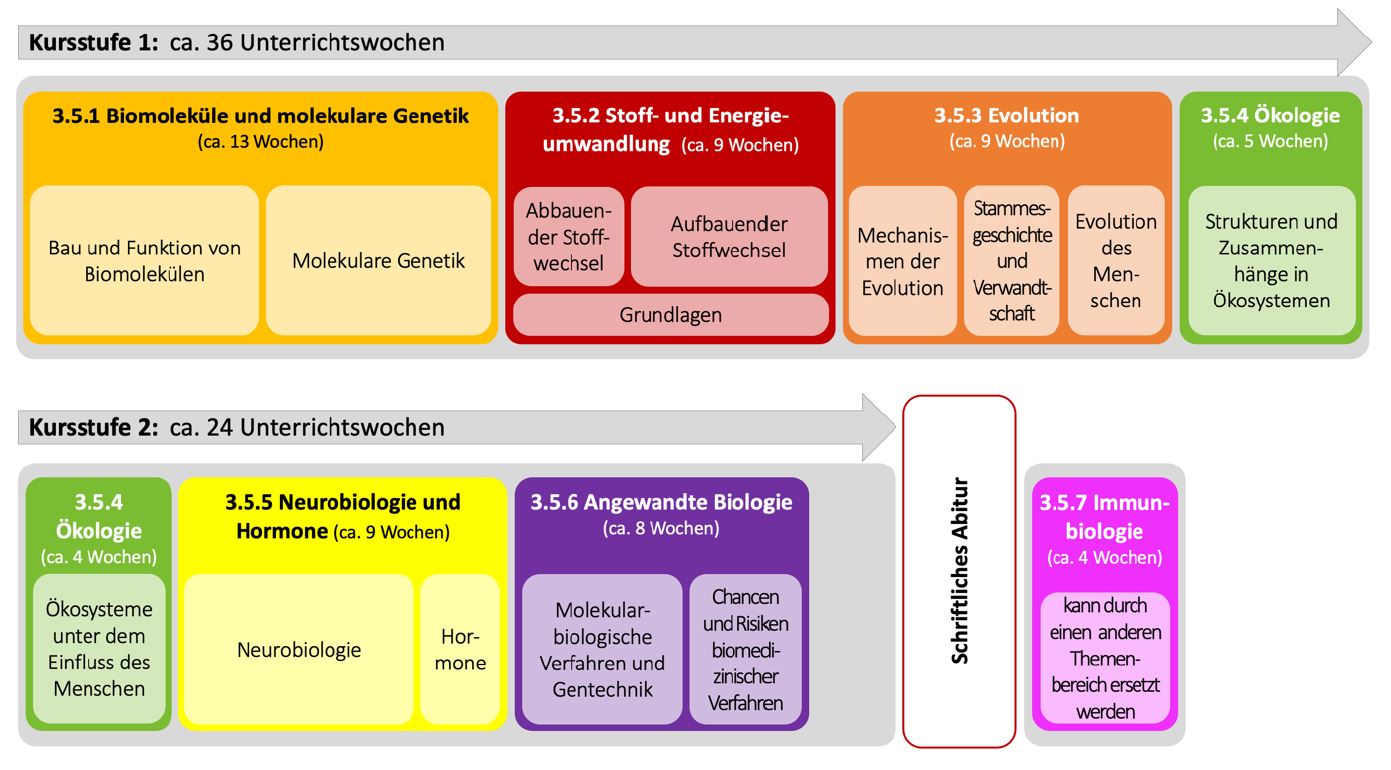 Bild einer zeitlichen Reihung der Unterrichtsinhalte