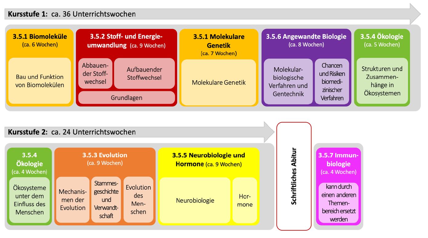 Bild einer zeitlichen Reihung der Unterrichtsinhalte