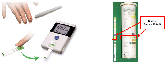Blutgucose-Test