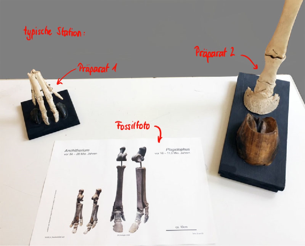 Aufbau einer typischen Station