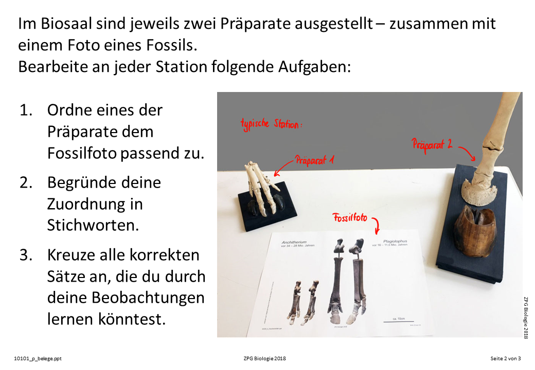 Präsentation - Folie 2